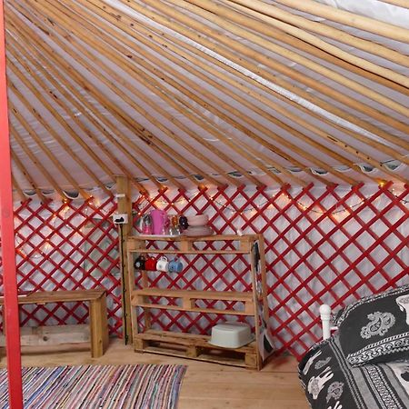 Alder Yurt Wych Elm Glamping Helston Exterior foto